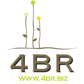300-Logo